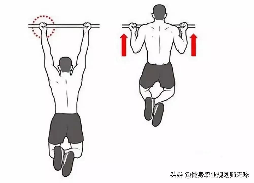 背部训练计划细节讲解,背部训练计划及训练部位