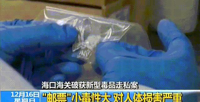 留学生海淘零食被抓,厦门留学生海淘被查