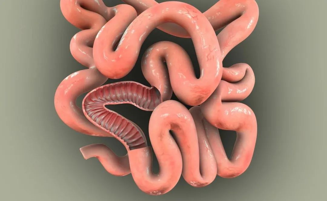 急腹症肠管嵌顿,急腹症肠梗阻中医叫什么