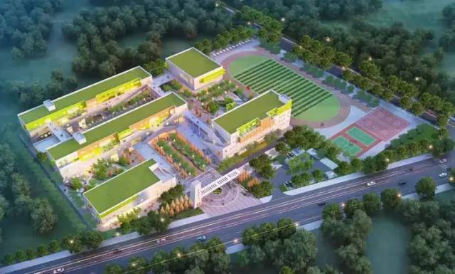 太原青年路小学分校,青年路小学2016-2019招生情况