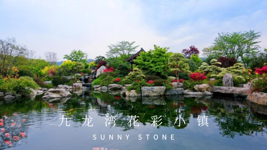 鏃犻敗鍦伴搧浼樻儬,鏃犻敗鍦伴搧浼樻儬娲诲姩鏄庣粏