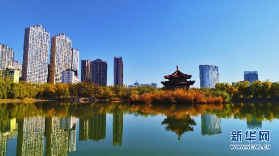 来呼和浩特感受草原之夜,呼和浩特怎么去呼伦贝尔大草原