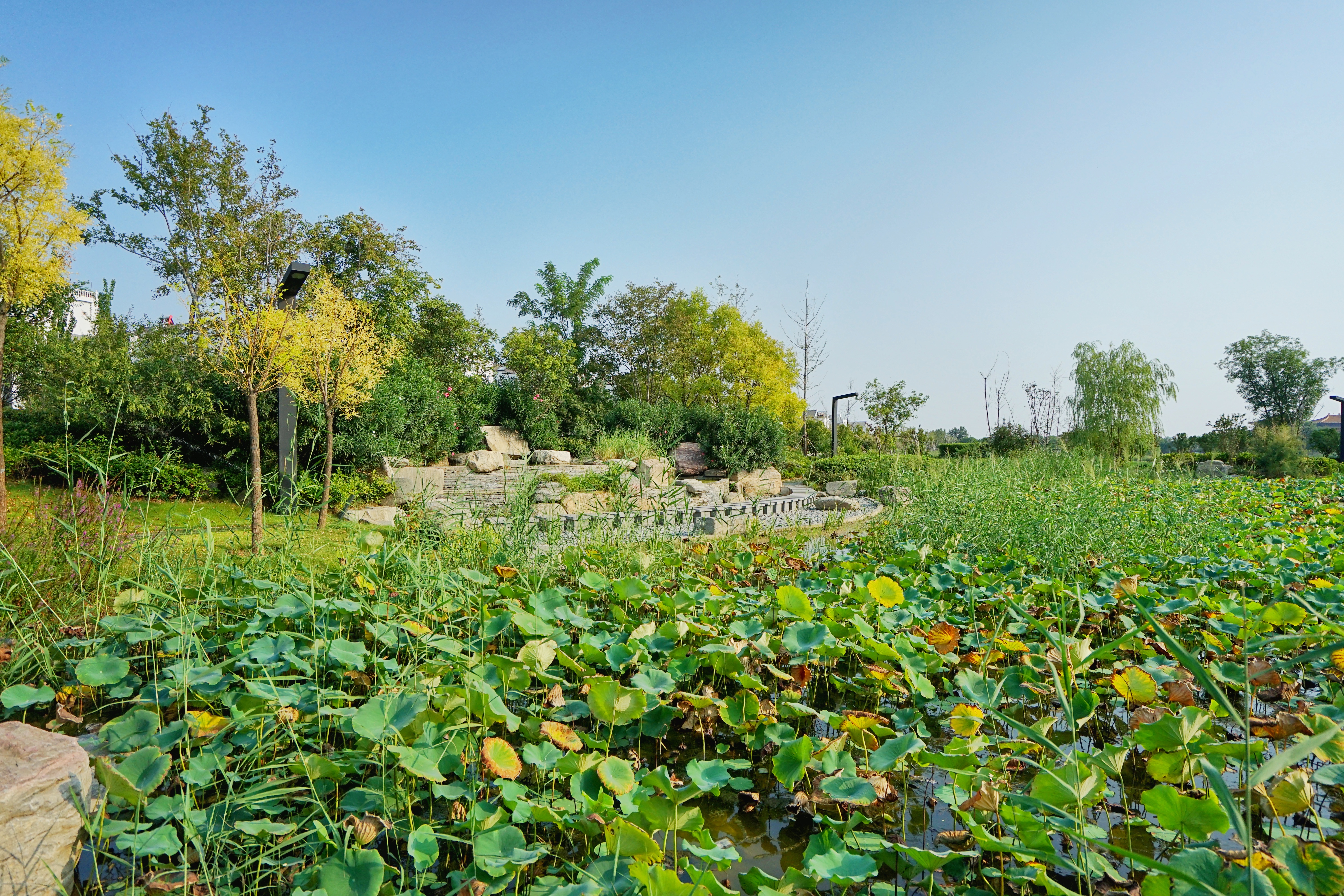 开封旅游连锁酒店推荐,开封的旅游酒店