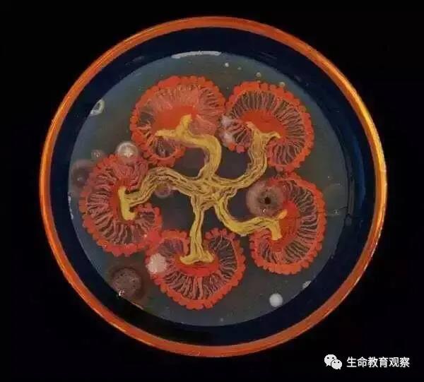 理科男喜欢的七夕礼物,理科男的送的礼物