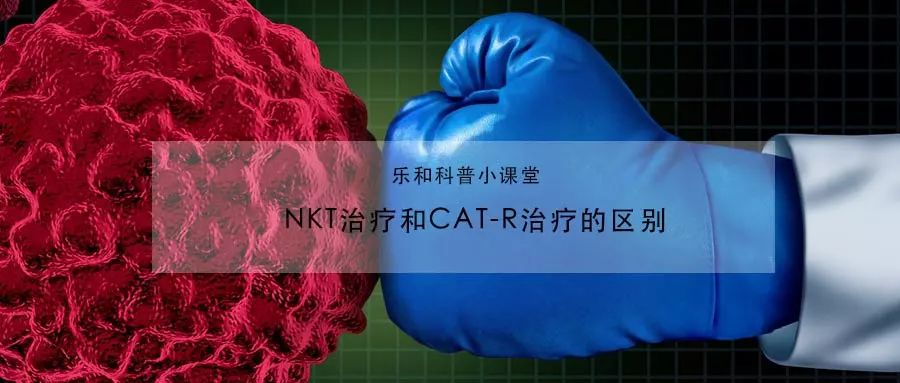 cart和免疫治疗的区别,car-t是免疫疗法还是靶向