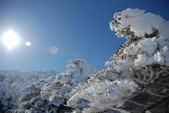 10种食物暖宫驱寒,女人必吃10款暖宫菜谱