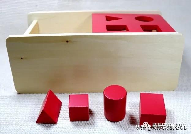 启蒙时光蒙特梭利亲子活动,蒙特梭利户外亲子游