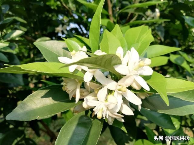 健康长寿大密诀,健康长寿秘诀