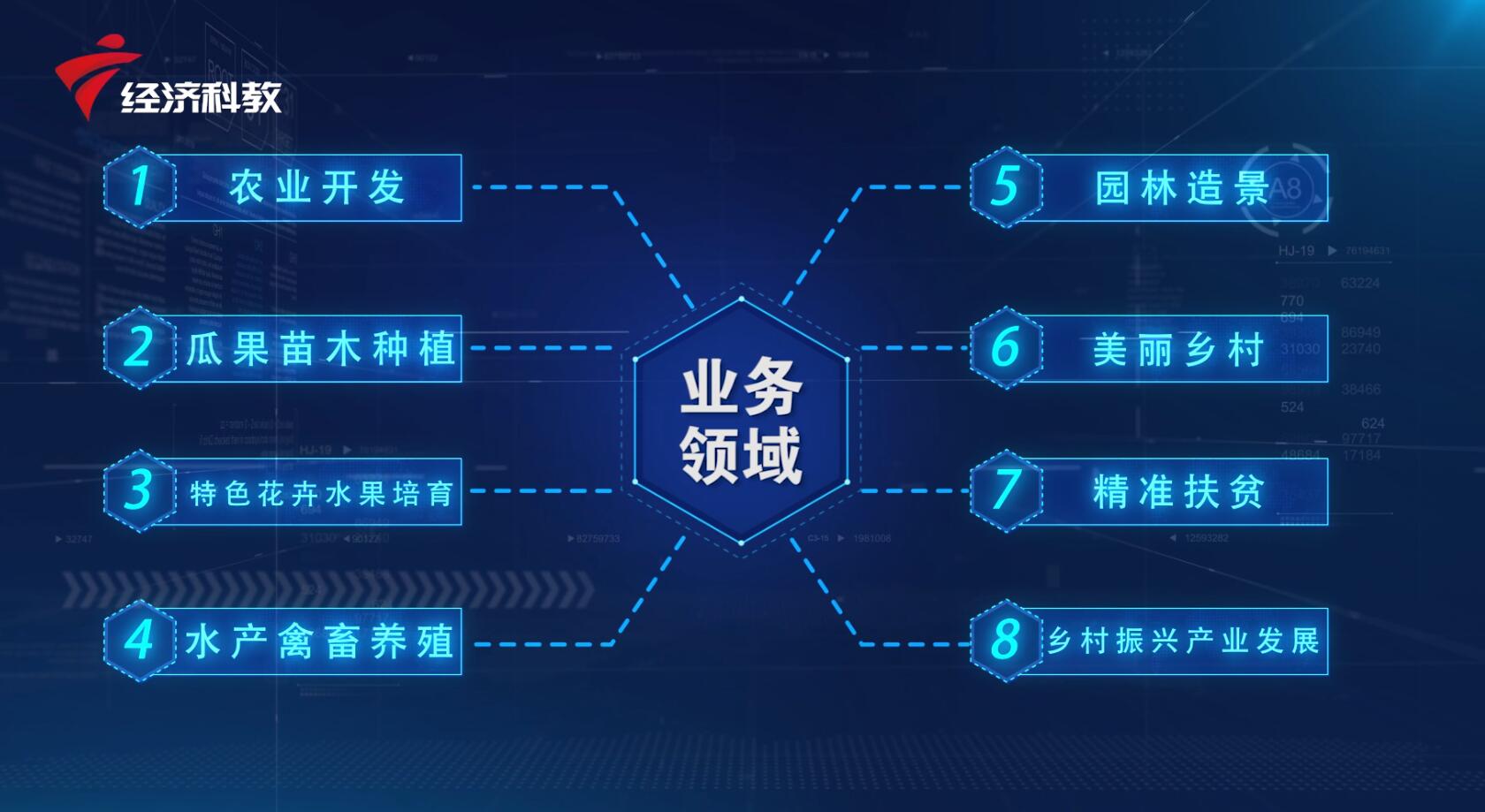 龙景农业,广东新闻联播经济社会发展