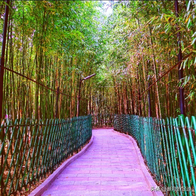 京郊古寺攻略,京郊古寺