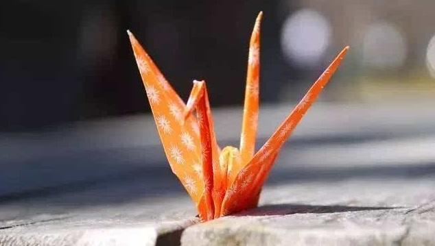 怎么写诗词鉴赏,如何写诗词