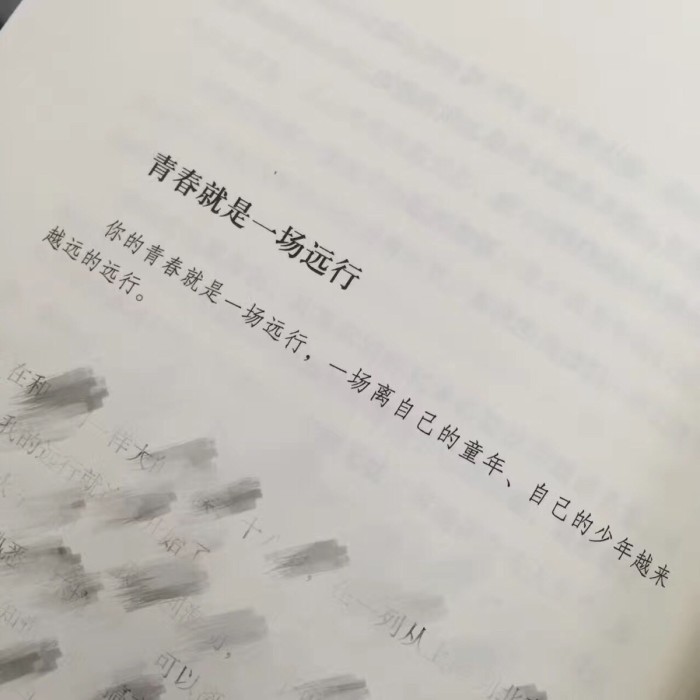 你是我的信仰是我触不可及的梦想,你是我遥不可及的光