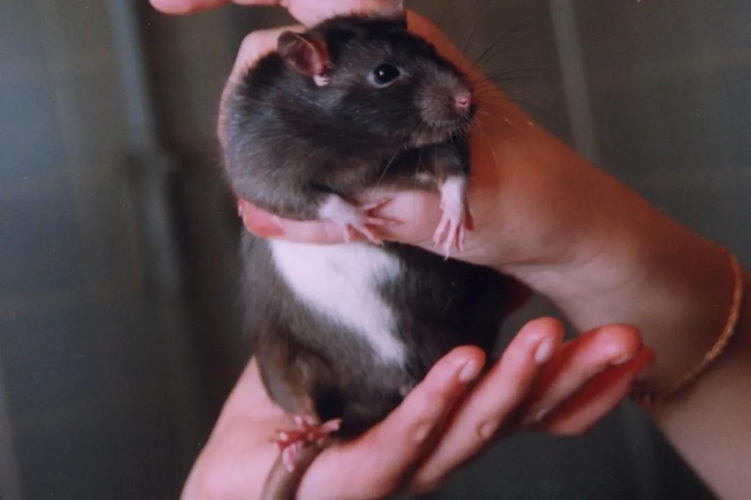 爱沙尼亚最新信息,爱沙尼亚最新消息