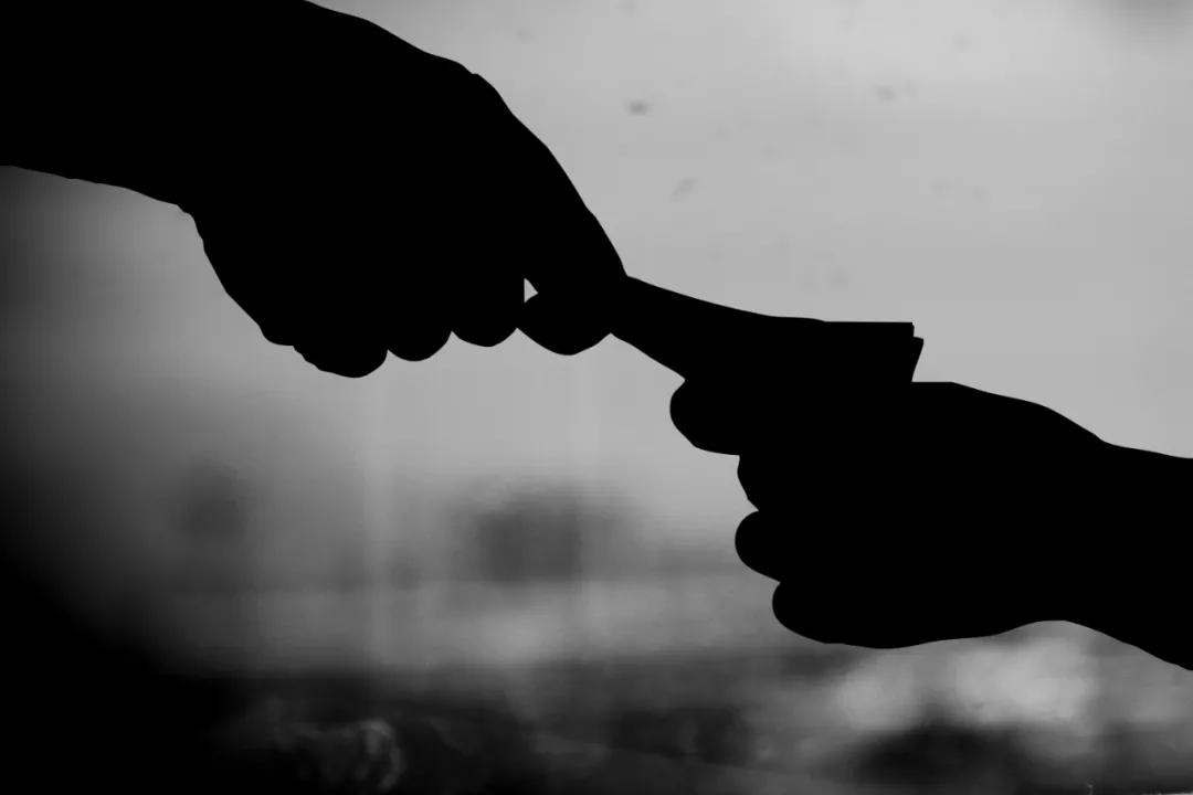 网友路过看到自己的猫,路人看到别人家的猫