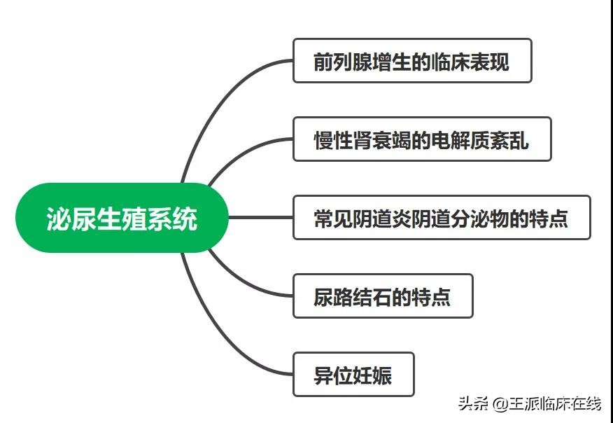 乡村大神笔记4:个个都是考点!乡村泌尿生殖系统必考点来了
