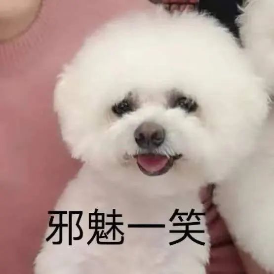 【壹人物】收下这份五一出行必备好物,样样都是王者选手!