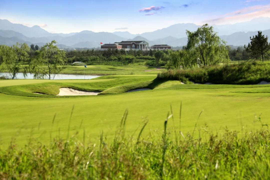 红牛是怎么火起来的,红牛近况