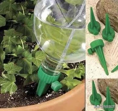 自制夏天自动浇水简易装置,自制室内无人自动浇水神器