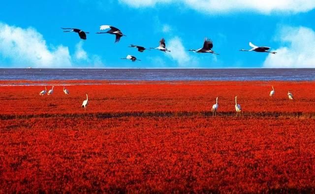 历史性时刻中国,历史性时刻降临