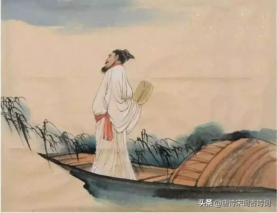 全才苏东坡歌曲,全才季羡林