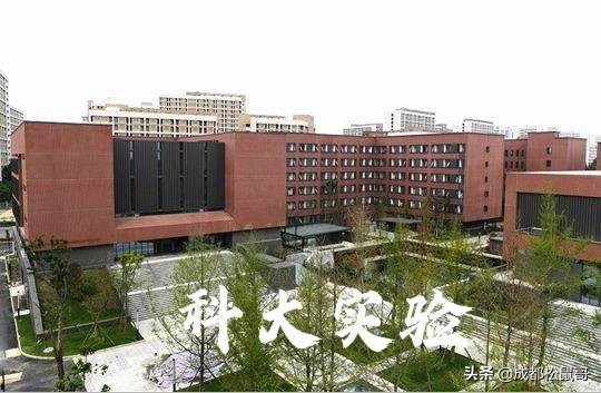 成都高中梯队和录取分数,2022成都各高中学校实时分数
