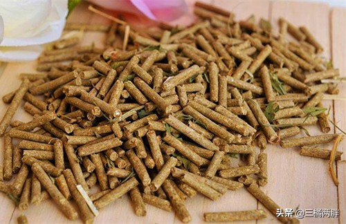 宠物兔兔怎么喂,兔兔如何正确喂食