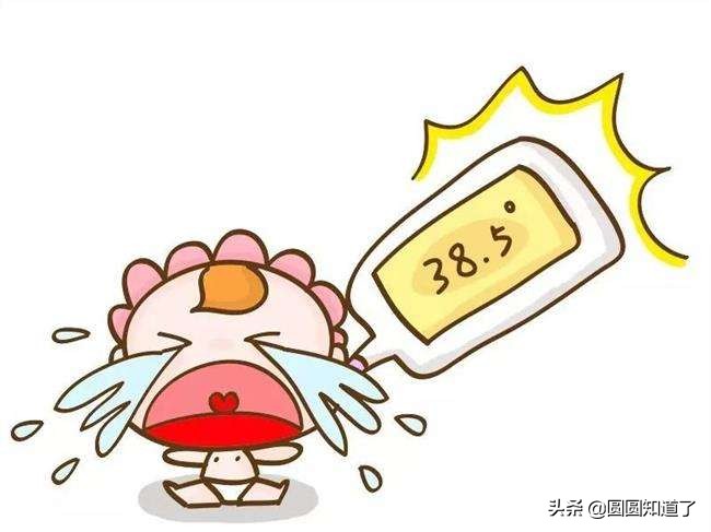 流感来了别害怕,流感来了别慌张最重要的是预防