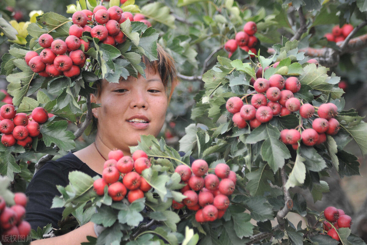 运城市十三县市有哪些,运城十三个县市有哪些