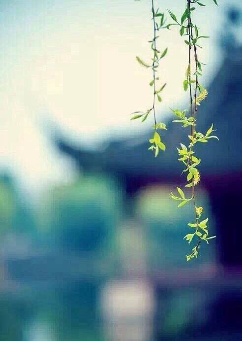 不回你信息的时候如何高情商回答,微信没回信息怎样高情商处理