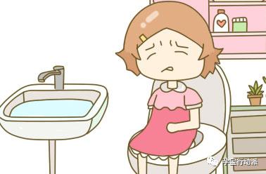 孕期周刊，第十三周