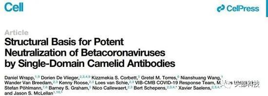 羊驼体内有新冠抗体是真的吗,羊驼真的可以抗击新冠病毒吗