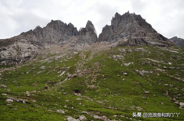 年保玉则现在开放了吗,年保玉则为啥被封