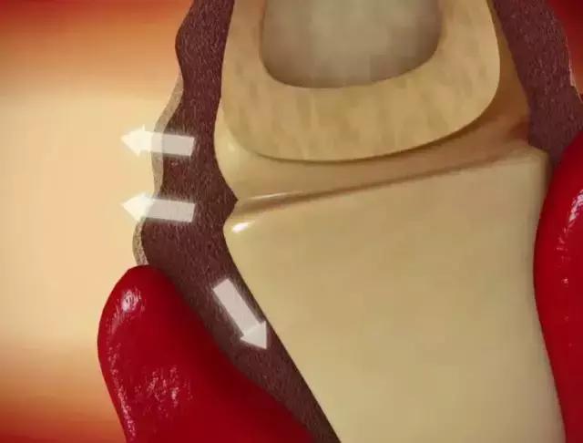 在办公室养猫是什么体验,不用牙膏只用牙刷给猫咪刷牙