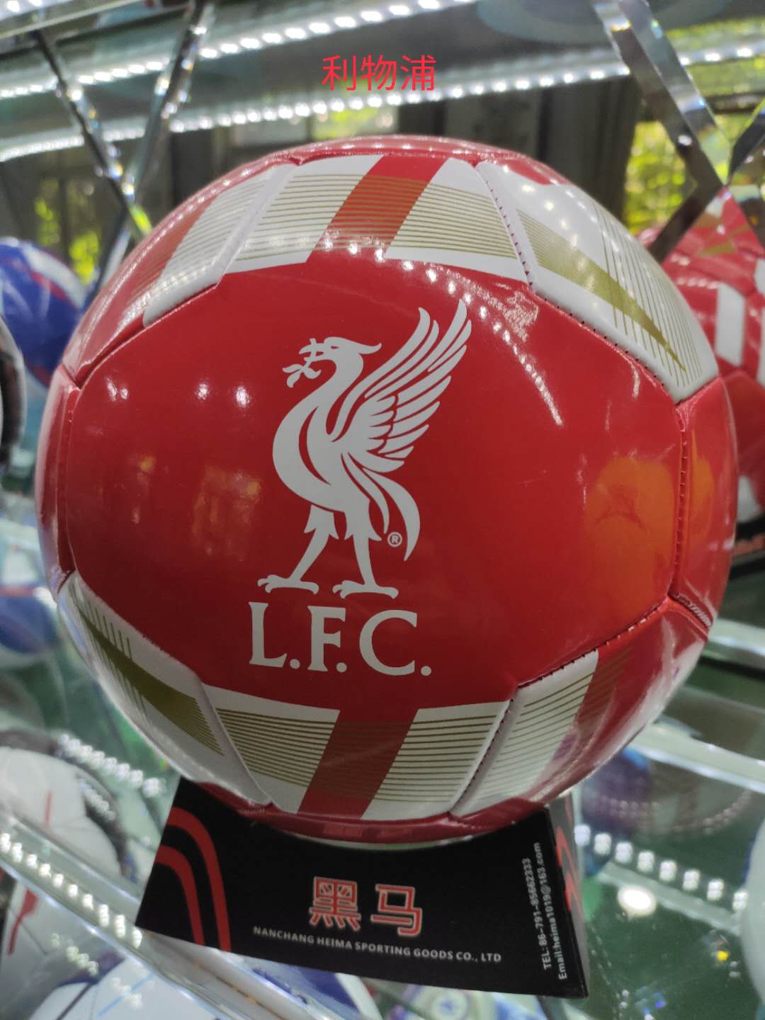 足球的起源与发展长视频,足球的起源与发展教案