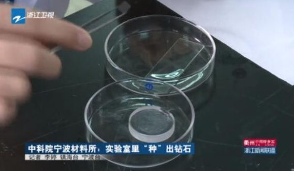 横行全球的百年*局骗**栽了，中科院卖成“白菜价”