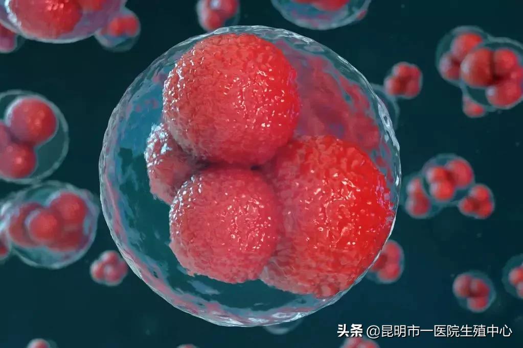 试管婴儿取完卵要注意什么,试管婴儿备孕知识科普