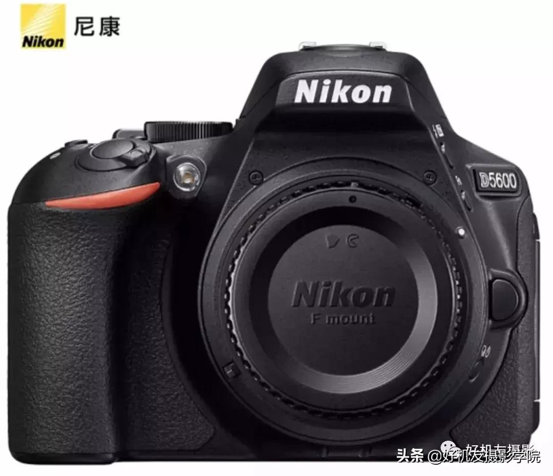 手机拍鸟镜头拍摄技巧,拍摄鸟片后期技巧有哪些