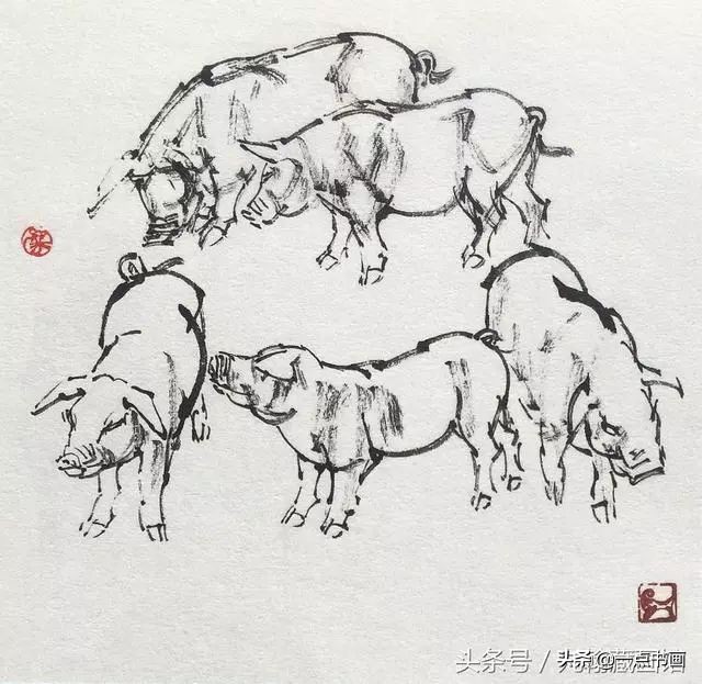 简单猪画画教学,国画写意猪图大全
