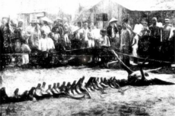 中国四大古墓未解之谜,世界上四大未解之谜是什么