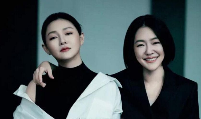 明星无脑粉丝,明星无脑带货