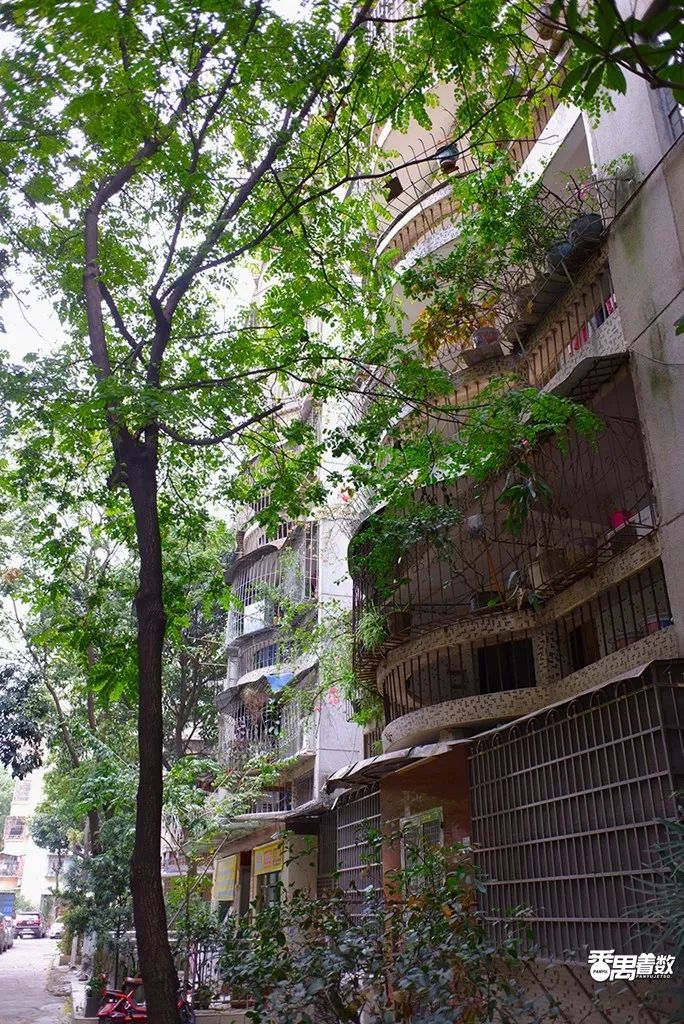 在广州番禺区居住怎么样,住在番禺的人的感受