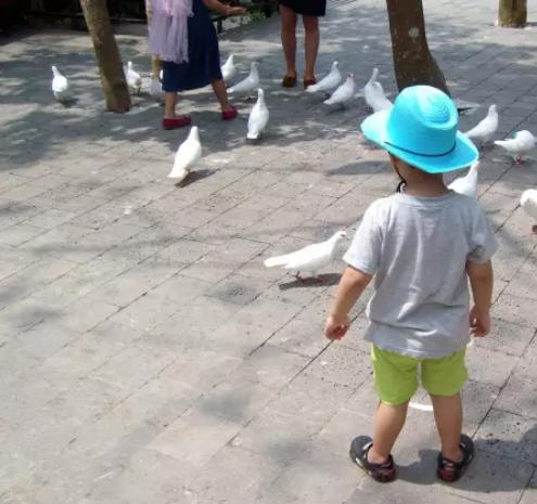 宝宝7个月就走路，担心以后O型腿？骨科医生教你3个方法自查