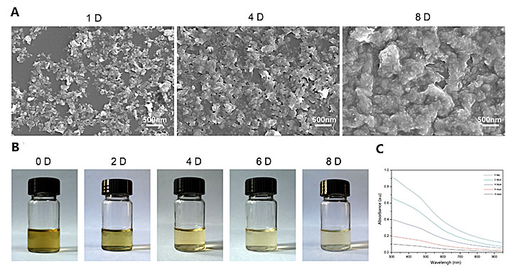 基于黑磷纳米片的多功能温敏水凝胶系统治疗类风湿