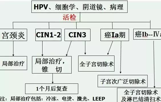 癌前病变就是一定会得癌吗,癌前疾病和癌前病变区别