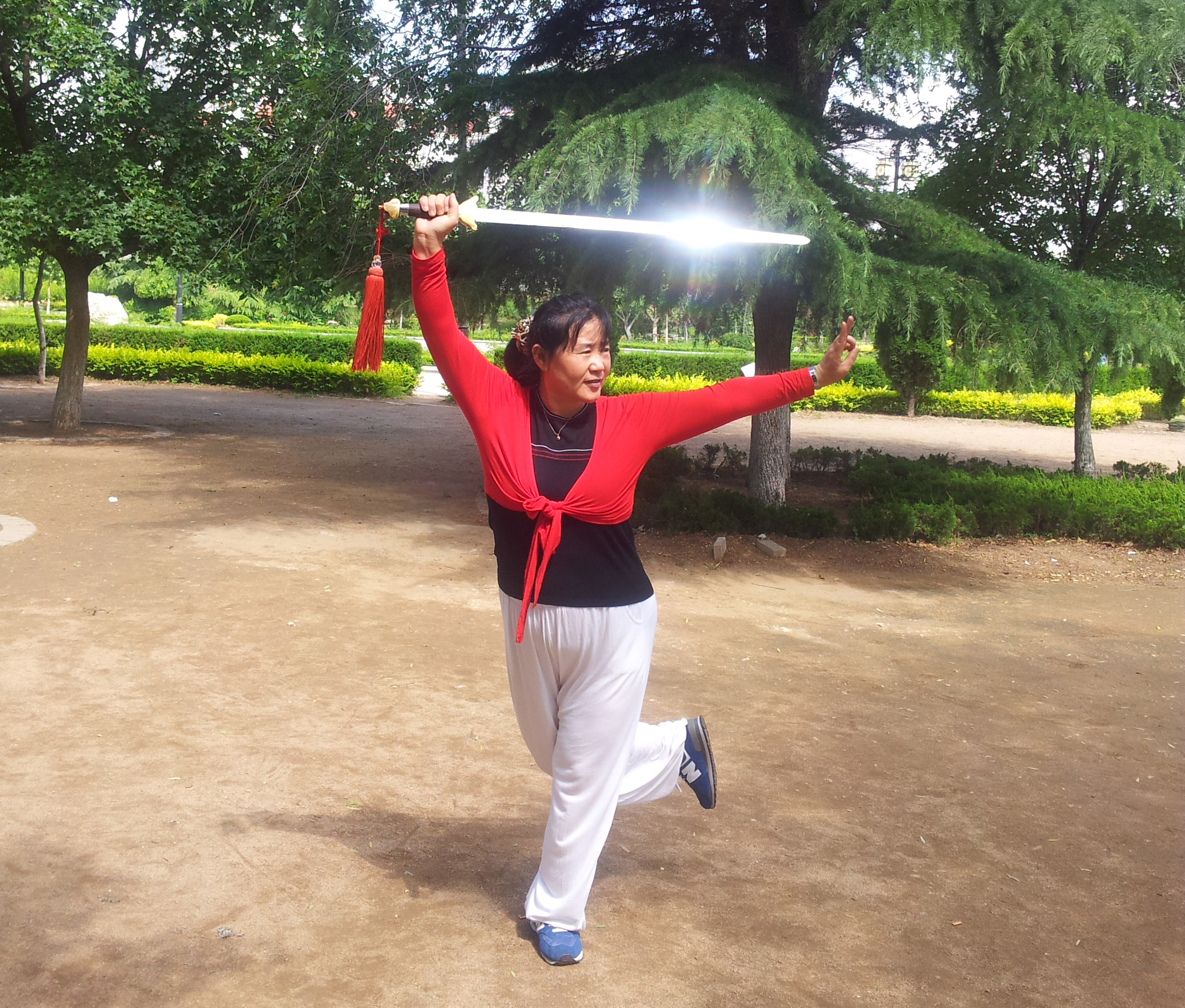 傅清泉传统杨式太极拳发劲练习,怎么练好杨氏太极拳起势