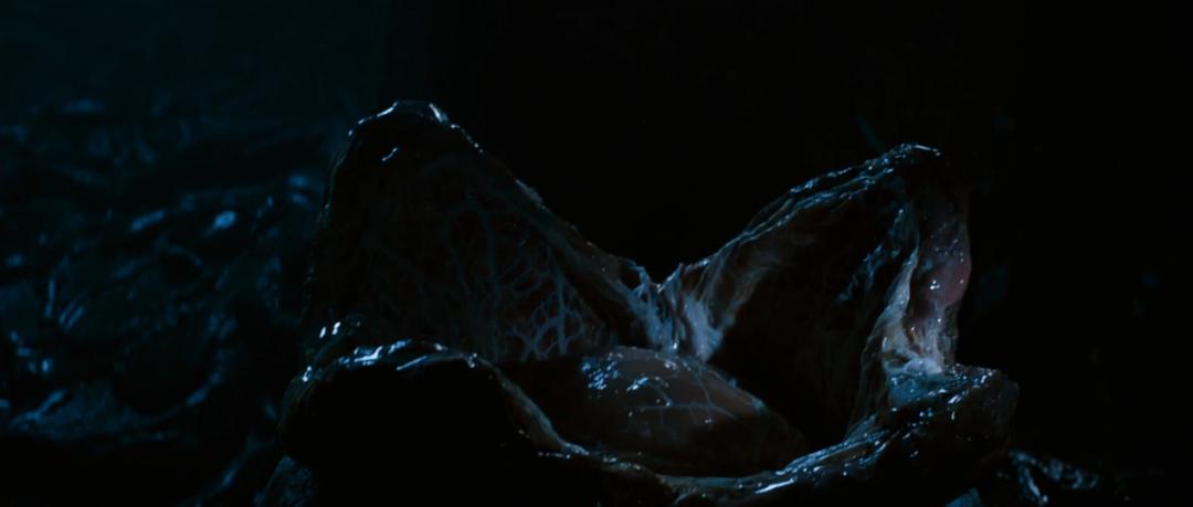 异形到底有多少种形态,异形到底存在吗