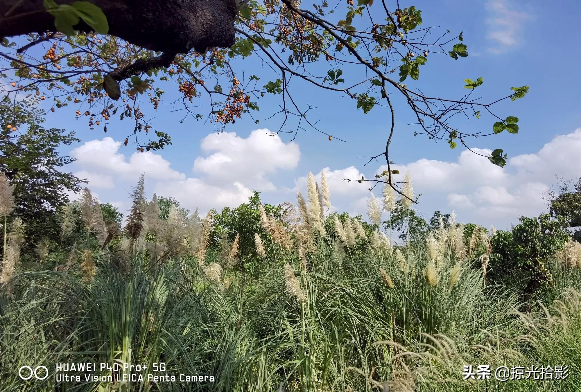 手机摄影为什么比相机酷,手机摄影与单反摄影
