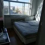 虎林月租房最新消息,虎林租房子信息网最新