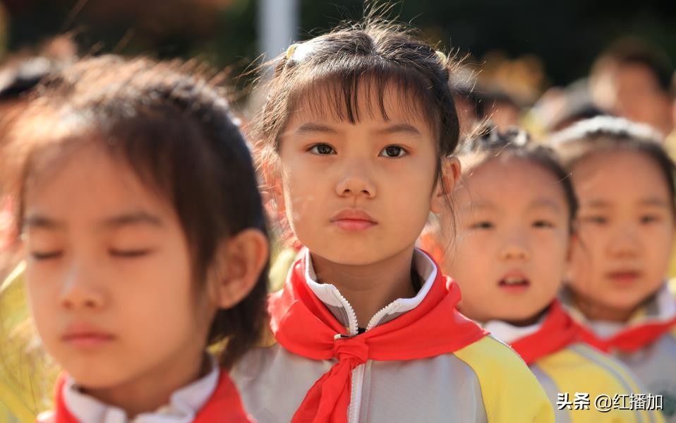 少先队员参加少先队活动感受,小学少先队员入队活动