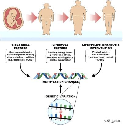 研究表明跑步的好处,最新研究跑步的好处